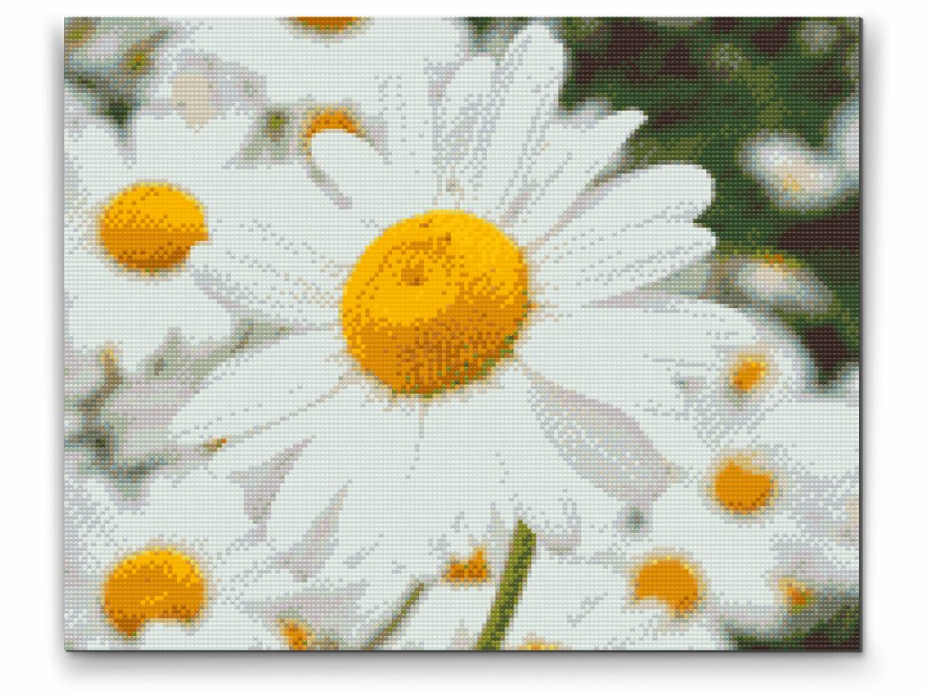 Marguerit - premium diamond art - diamond painting i højeste kvalitet