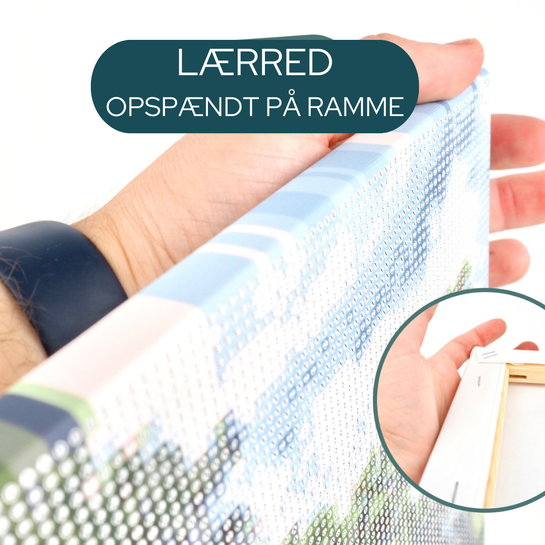FARVERIG LØVE | Diamond Paint